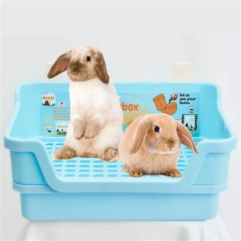 Rabbits Litter Boxes Online For Sale 